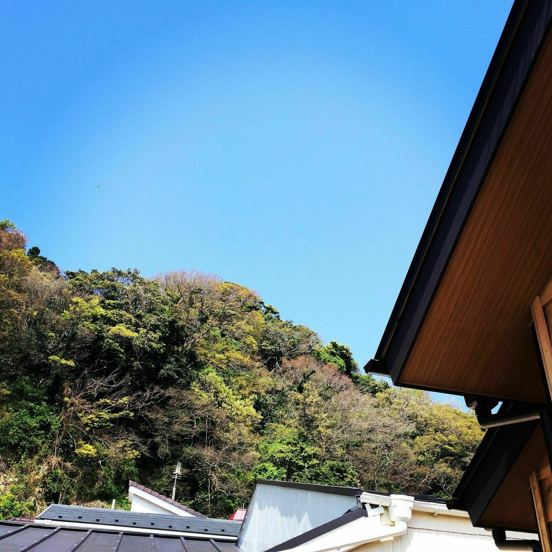 Guest House Kamakura Zen-Ji Eksteriør bilde