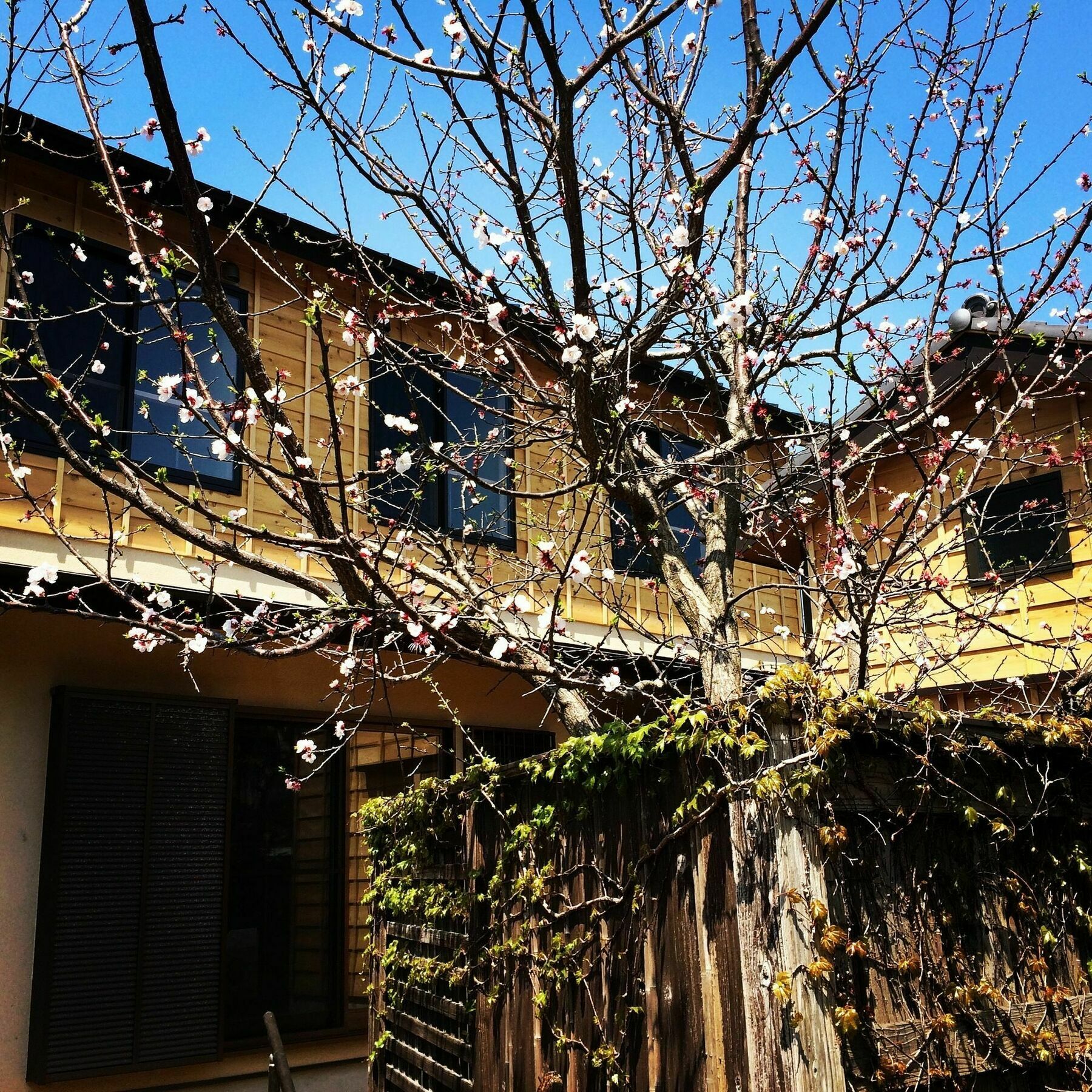 Guest House Kamakura Zen-Ji Eksteriør bilde